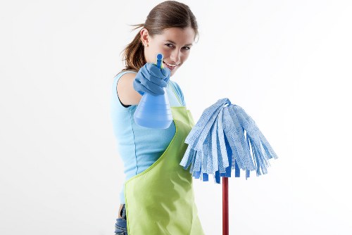 Professional pet stain odour removal service for Twickenham carpet cleaning