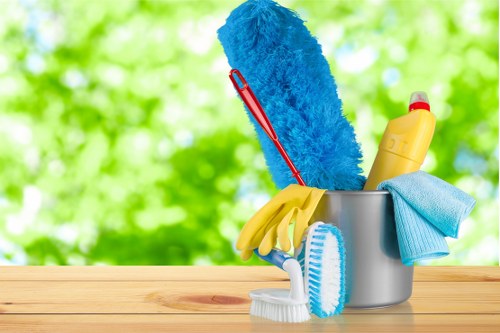 Local domestic cleaning service for Twickenham homes