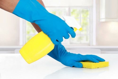 Window cleaning service for a Twickenham home with sash windows
