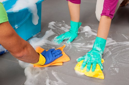 Deep cleaning and home maintenance services in Twickenham