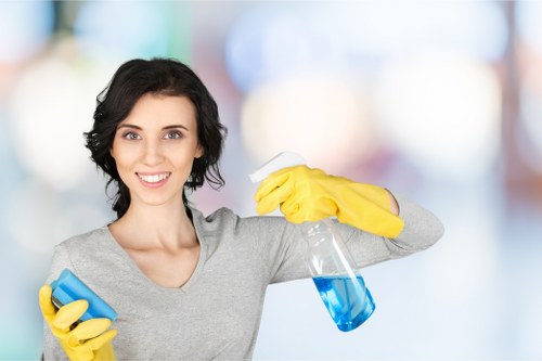 Professional upholstery cleaning for sofas in a Twickenham home