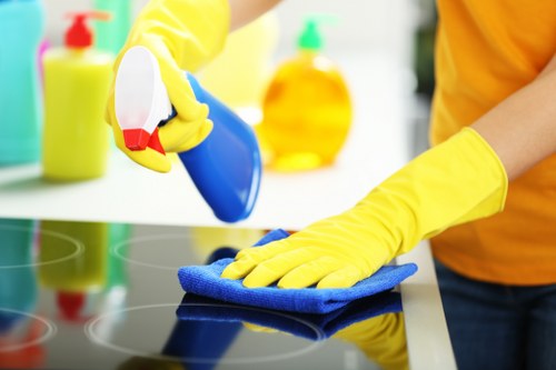 Local house cleaning for family homes in Twickenham